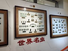 -上海昆虫博物馆