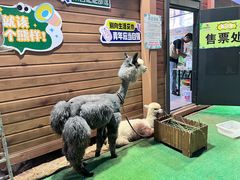 -东戴河风景区-止锚湾