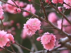 -国家植物园