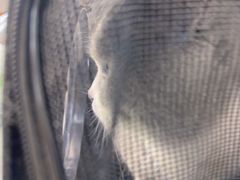 -宠欣安宠物医院·包河区中心医院