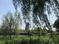 -苏州太湖湖滨国家湿地公园