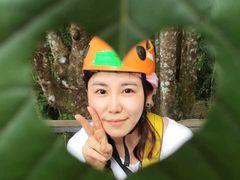 -清迈丛林飞跃 JungleFlight
