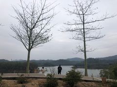 -红花湖景区