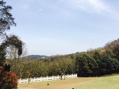 -青龙山公园