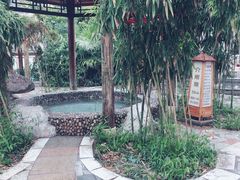 -金孔雀温泉旅游度假村