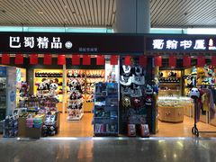 -绵阳南郊机场