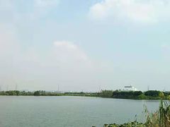 -南湖湿地公园