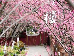 -望江楼公园
