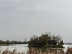 -东湖落雁景区