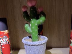 -梵猫·新养生(福州万象城店)