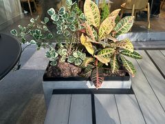 -星巴克臻选(深圳嘉里建设广场店)