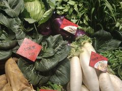 -杨厨的田园饭店(长城路店)