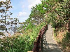 -羚羊峡古栈道森林公园