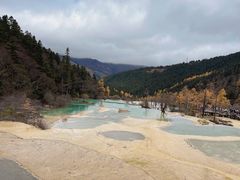 -黄龙山原始森林景区