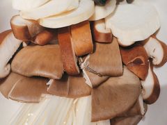 -蒙都43°9羊火锅·赤峰美食(宁城店)