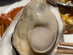 -杨氏青龙虾·羊蝎子(托乐嘉店)