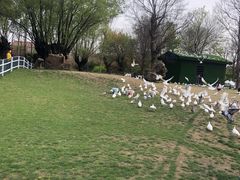 -南通洲际绿博园