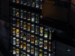 -广东中医药博物馆