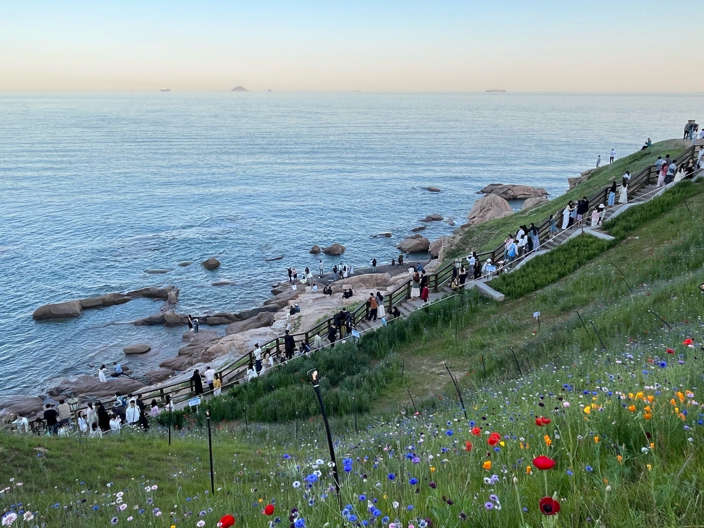 的小花花,很多人在那里拍照(不要采花哦),还在公园里拍了发光的背影