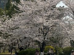 -堤角公园