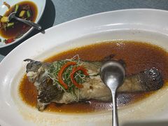珍珠斑-宝燕壹号(徐汇店)