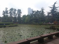 -四川大学(望江校区)