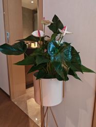 -慢脚印孕产中心(园区国金店)