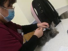 -美联众合动物医院·24h京西诊疗中心