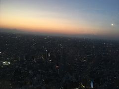 -东京都厅舍