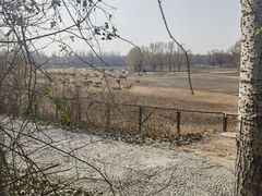 -北京麋鹿生态实验中心