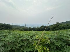 -浮槎山