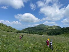 -白草畔自然风景区