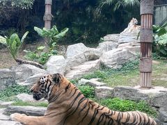 -深圳野生动物园