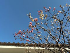 -无锡梅园公园