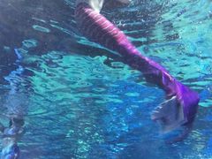 -石林冰雪海洋世界