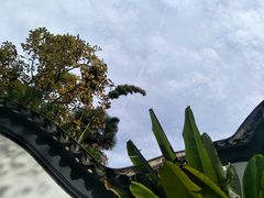 -南京钟山宾馆(江苏省会议中心)