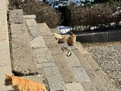 -四门塔风景区
