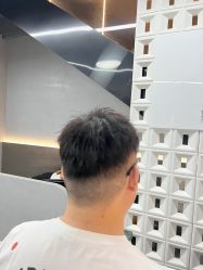 -风生造型
