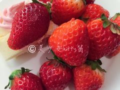 -东京希尔顿酒店