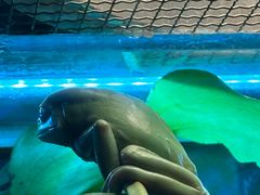 -上海大自然野生昆虫馆(东方明珠·爬宠昆虫探索中心)