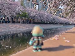 -望京西(地铁站)