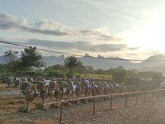 -楠溪江风景名胜区