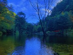 -黑河国家森林公园