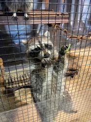 -酷嗒动物文化乐园(cutezoo西溪乐天城店)