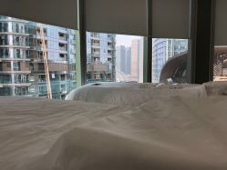 -贞禾医美·连锁