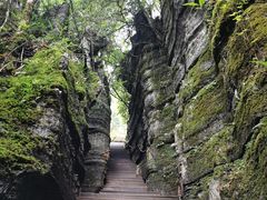 -梭布垭石林景区