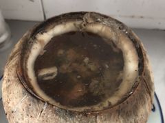 原只椰子炖竹丝鸡-達揚原味燉品(文明路店)