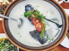 -全乐鱼馆·淳牌有机鱼直营店