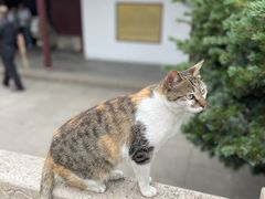 -西园寺