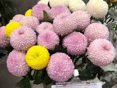 -花邻FloweringLife花艺气球派对(武康大楼店)